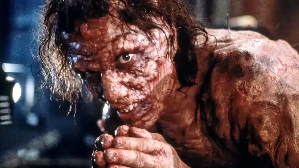 The Fly movie still