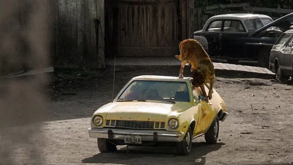 Cujo attacks!