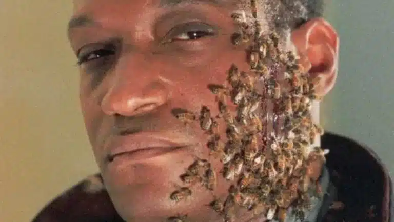 Tony Todd as the Candyman