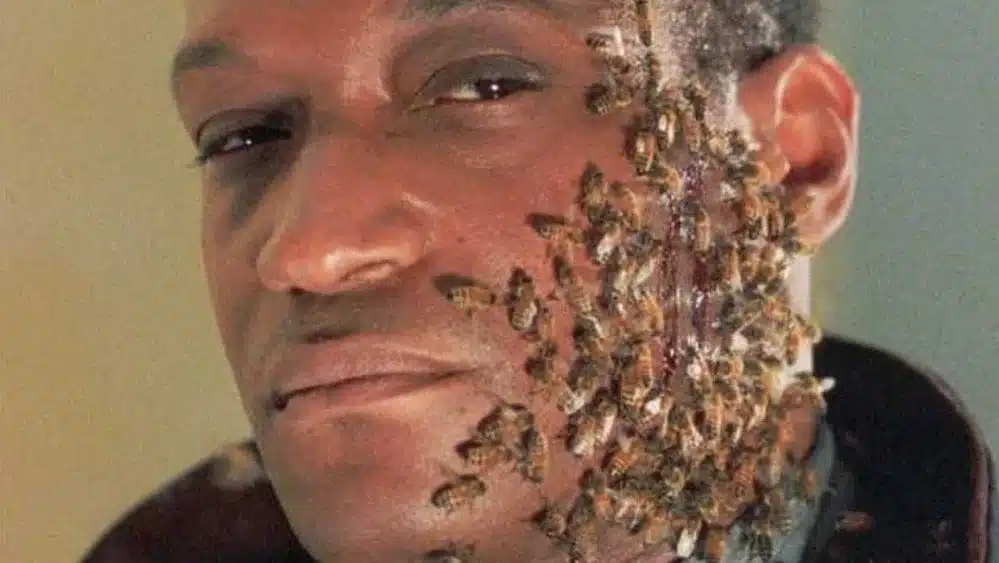 Candyman Trilogy Ranked