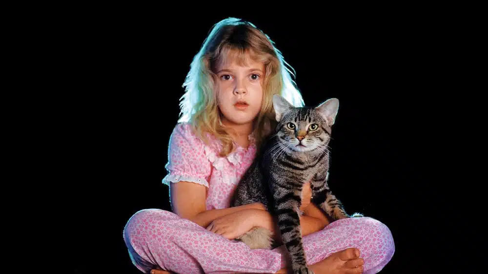 Cat's Eye movie still